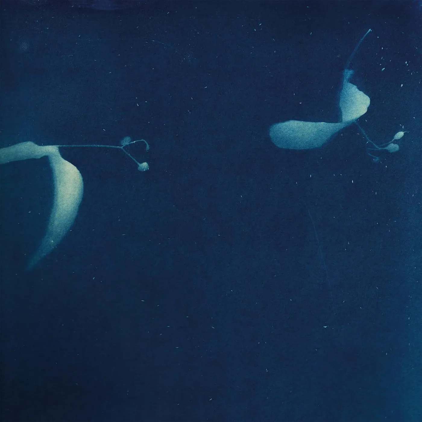 Miki Yui As If Vinyl Record