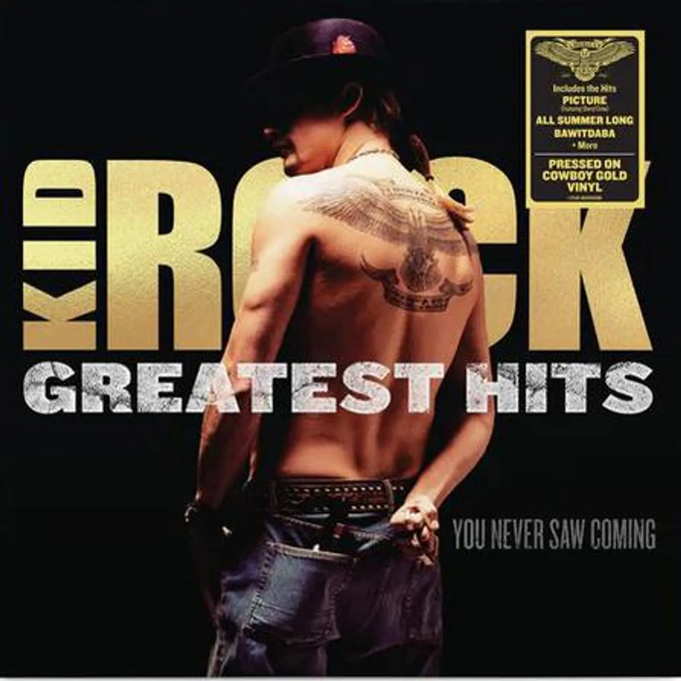 Kid Rock Greatest Hits You Never Saw Coming Vinyl Record