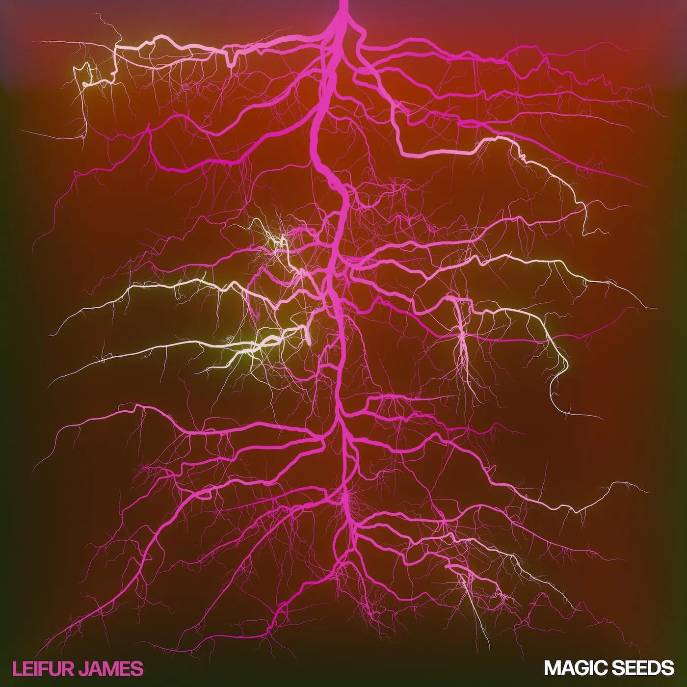 Leifur James Magic Seeds Vinyl Record