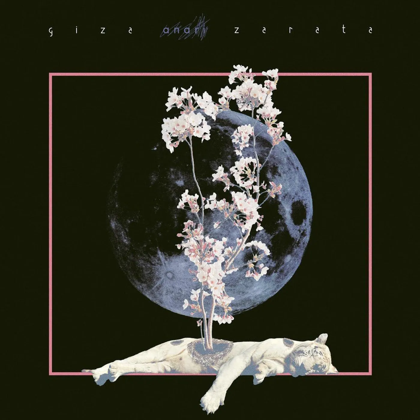 Anari Giza Zarata Vinyl Record