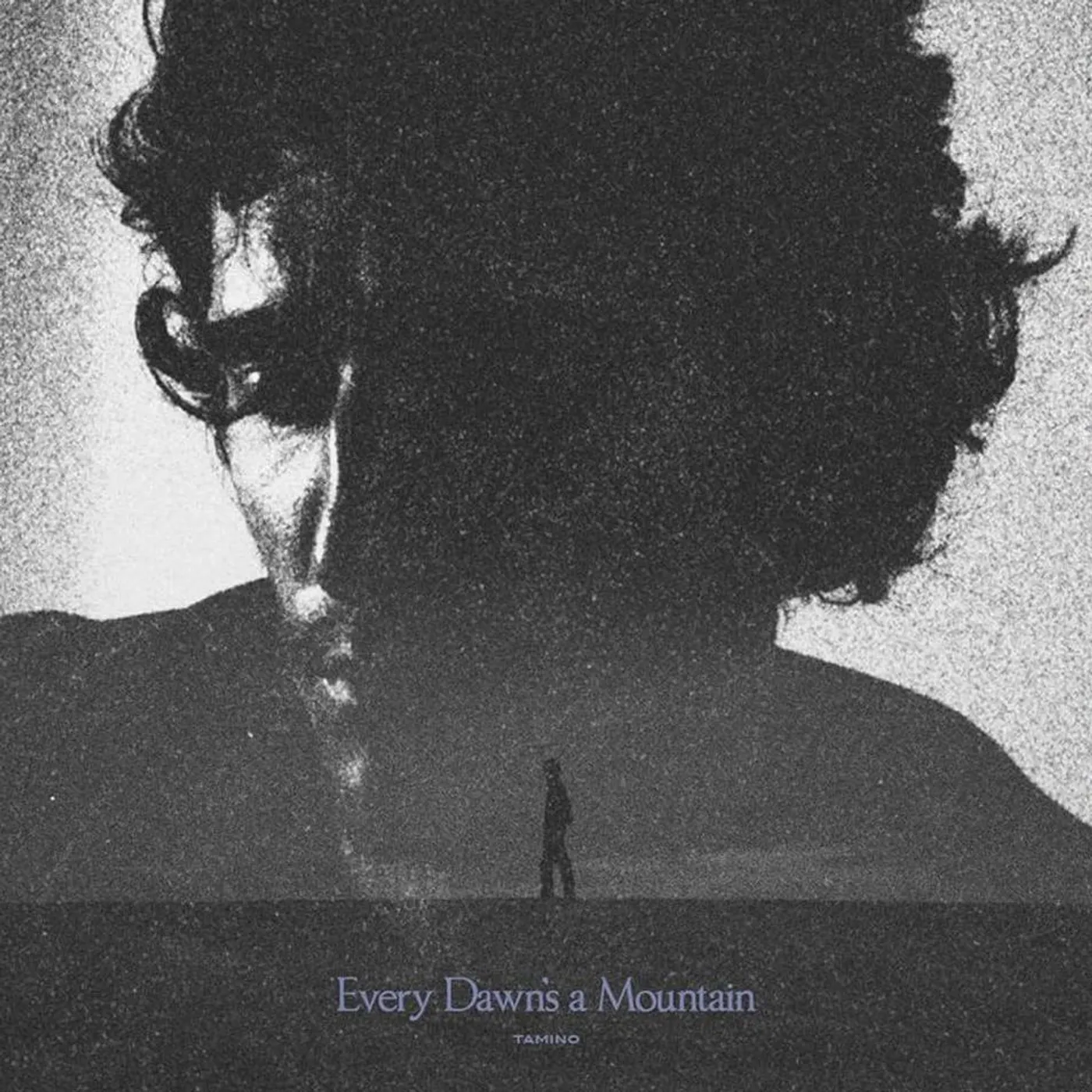 Tamino Every Dawn's A Mountain  (Black/Silver) Vinyl Record