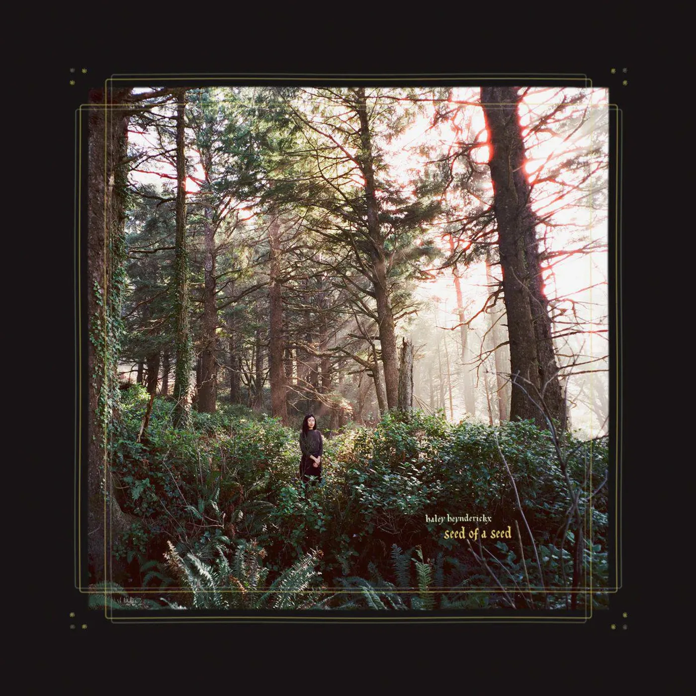 Haley Heynderickx Seed Of A Seed Vinyl Record