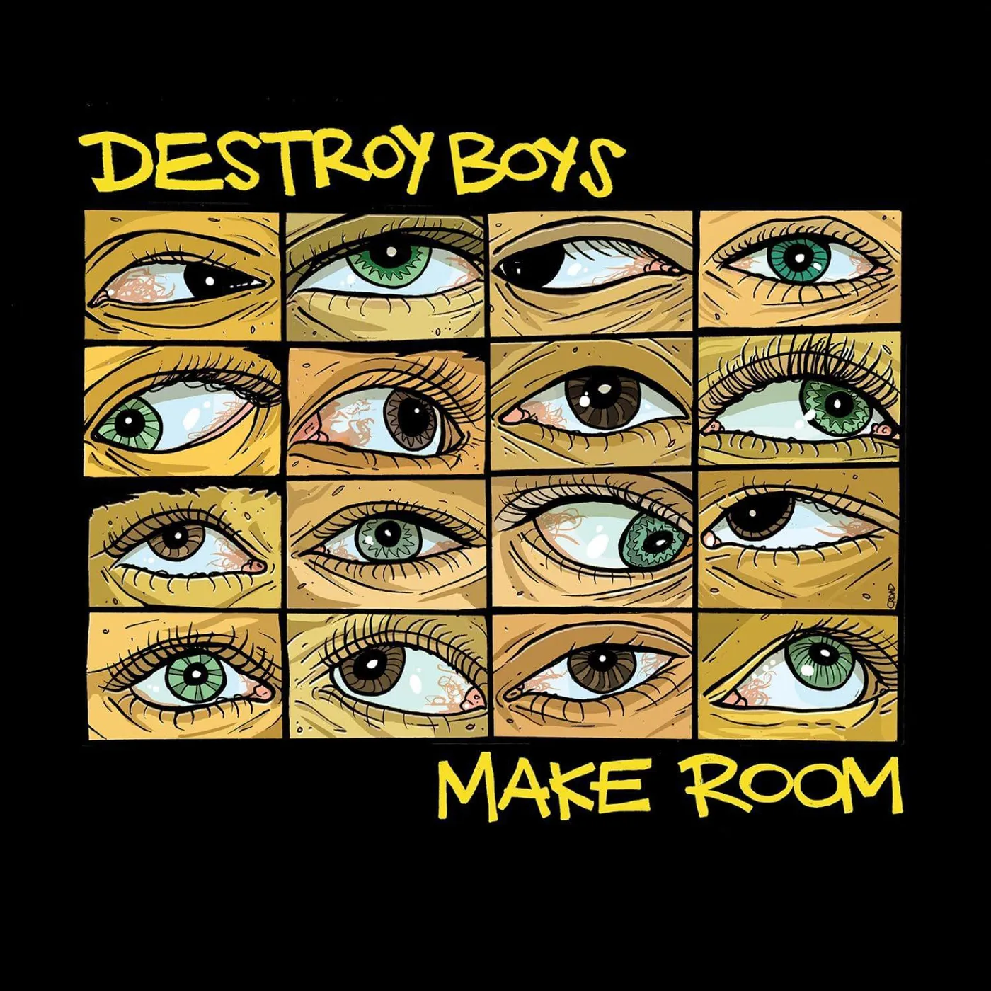 Destroy Boys Make Room Vinyl Record