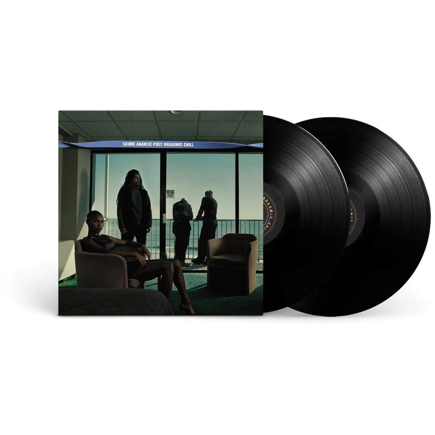 Skunk Anansie Post Orgasmic Chill: 25Th Anniversary (2LP) Vinyl Record