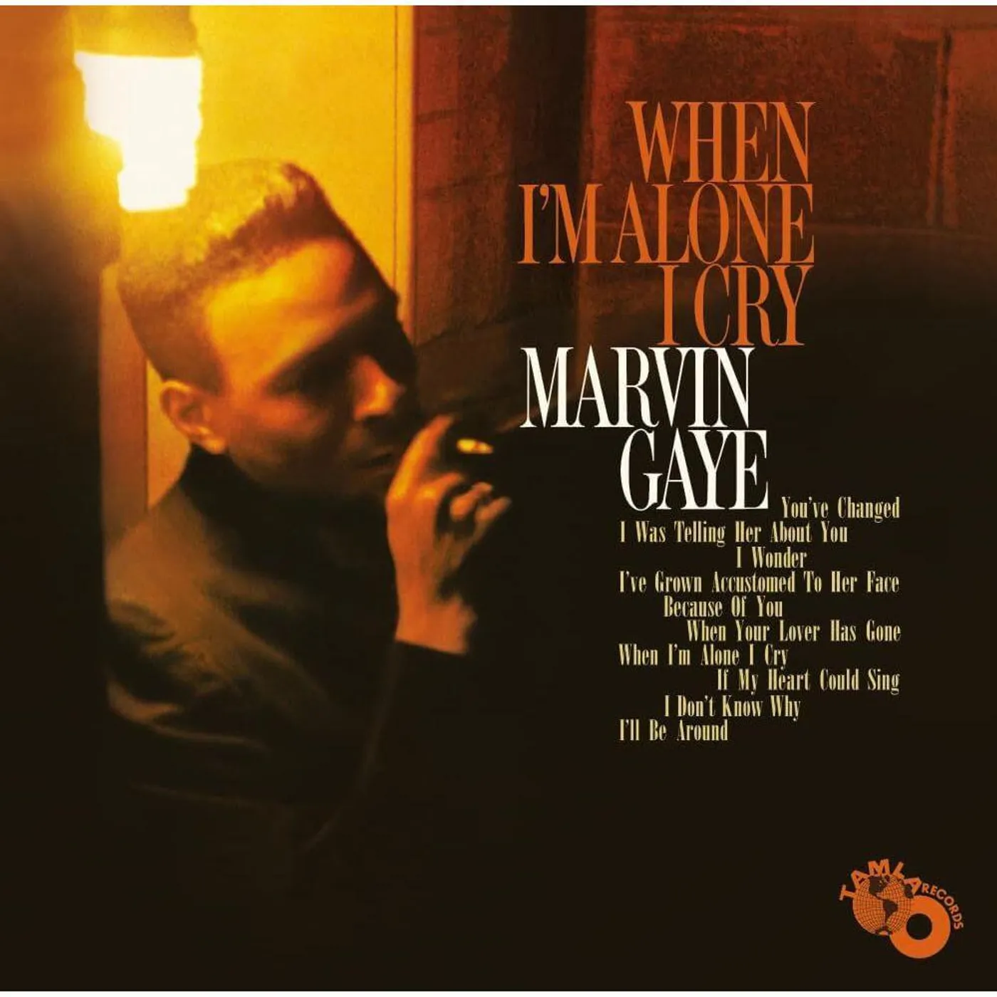 Marvin Gaye When I'm Alone I Cry (Mono Edition) Vinyl Record