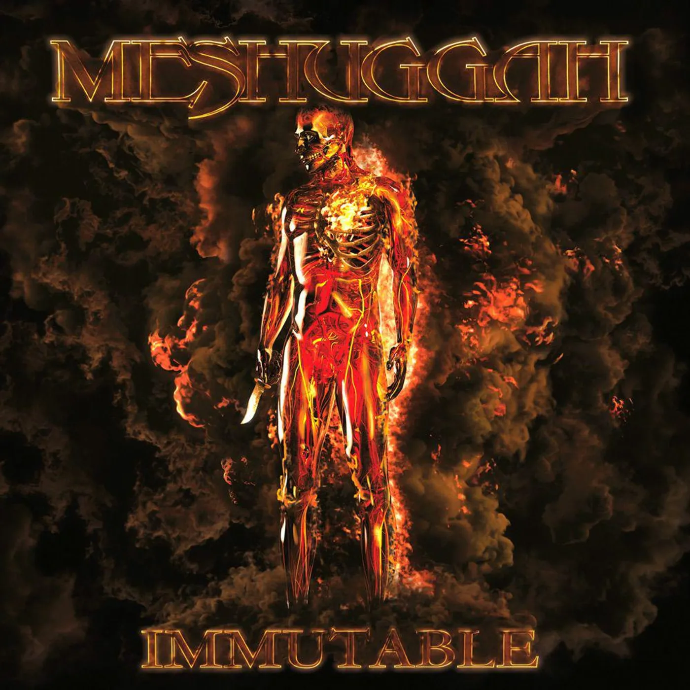 Meshuggah Immutable (2LP/ Marble) Vinyl Record