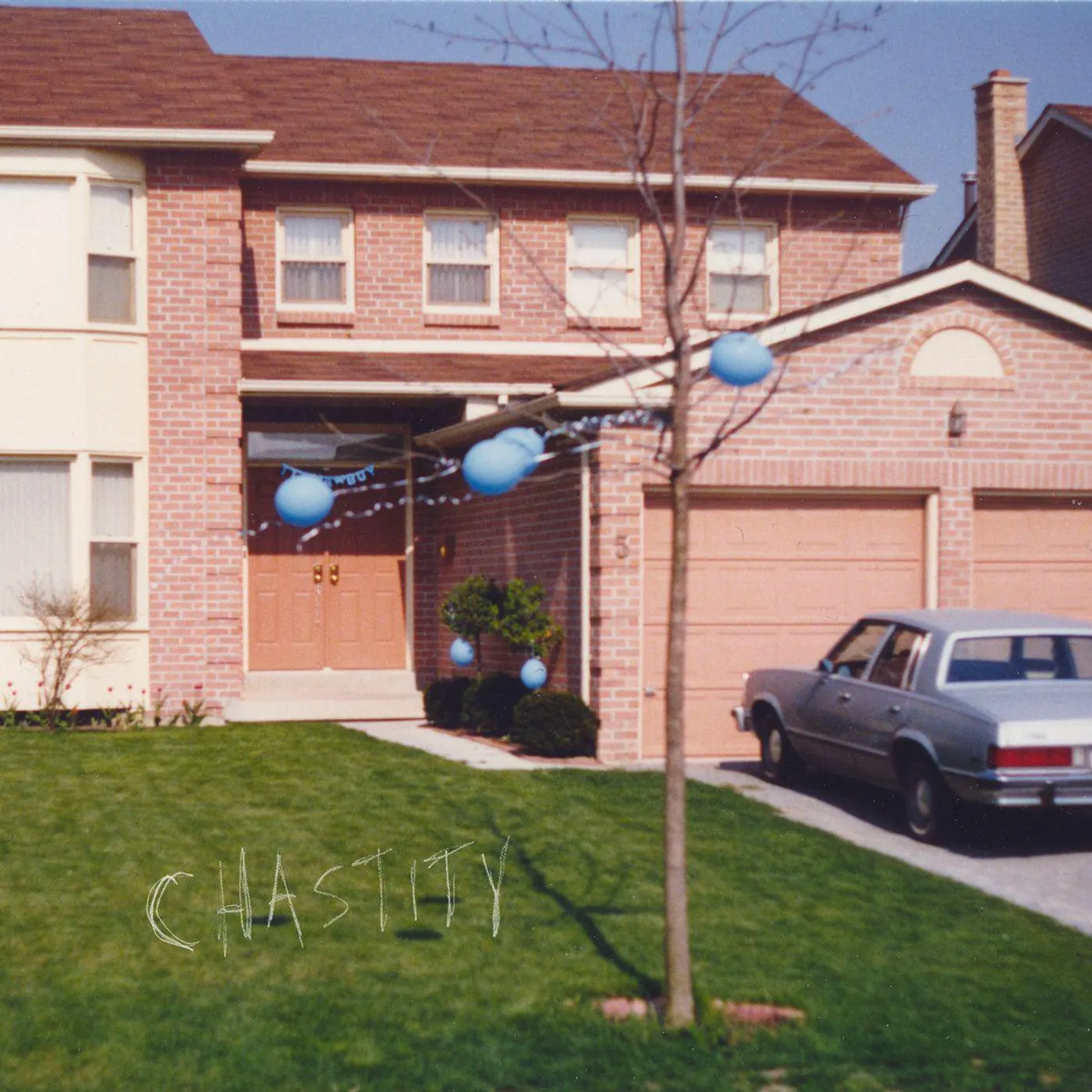  Chastity (Limited Edition) Vinyl Record