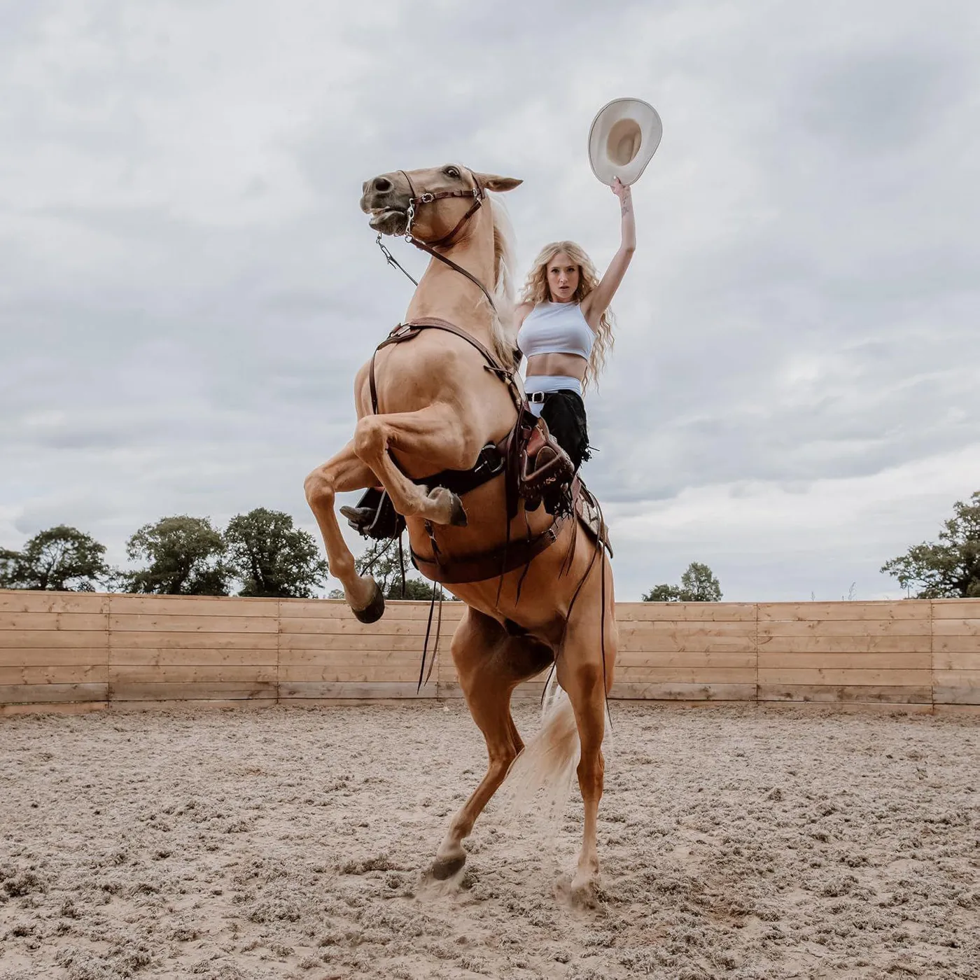 Janet Devlin Emotional Rodeo Vinyl Record