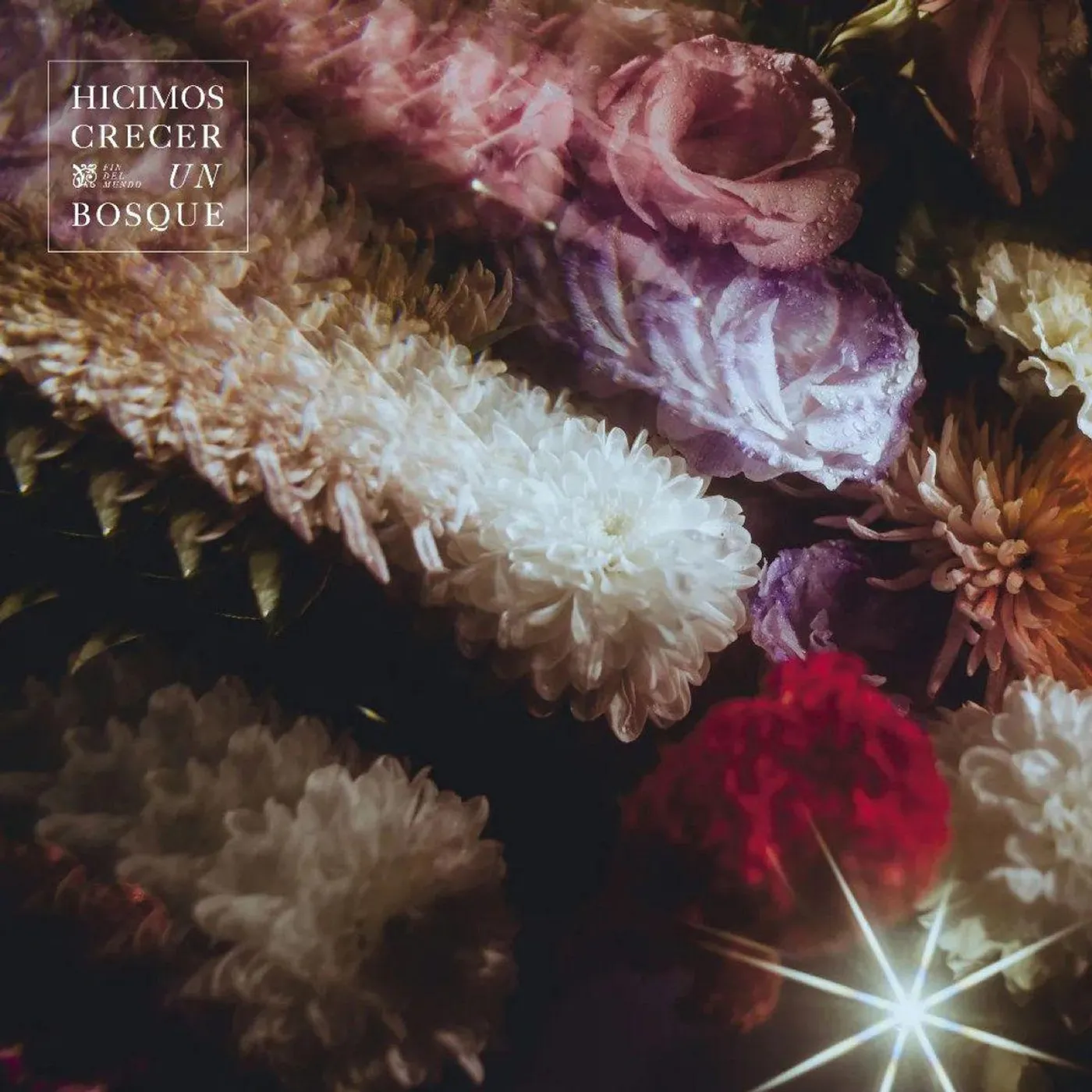 Fin del Mundo Hicimos Crecer un Bosque Vinyl Record