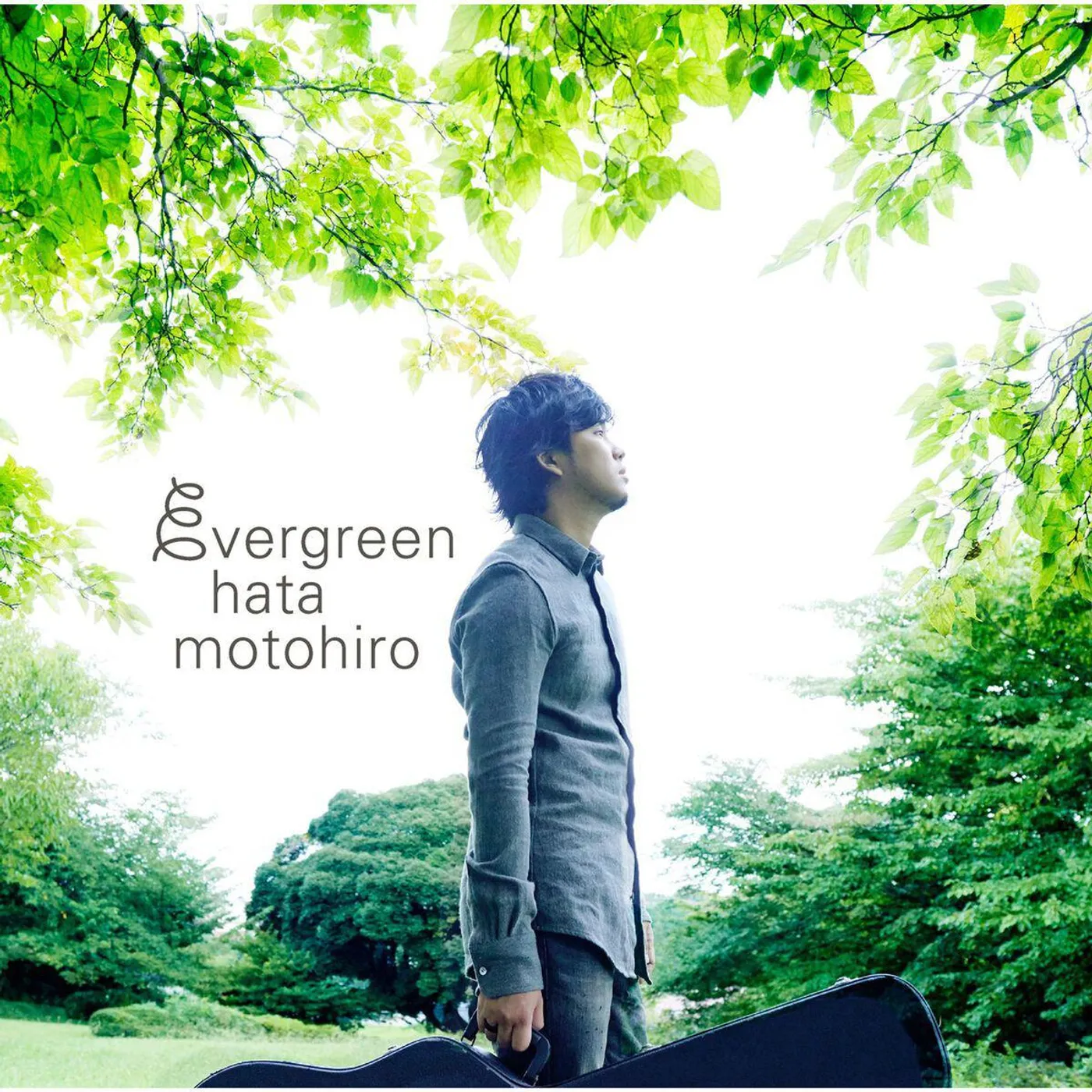 Motohiro Hata Evergreen (3LP) Vinyl Record