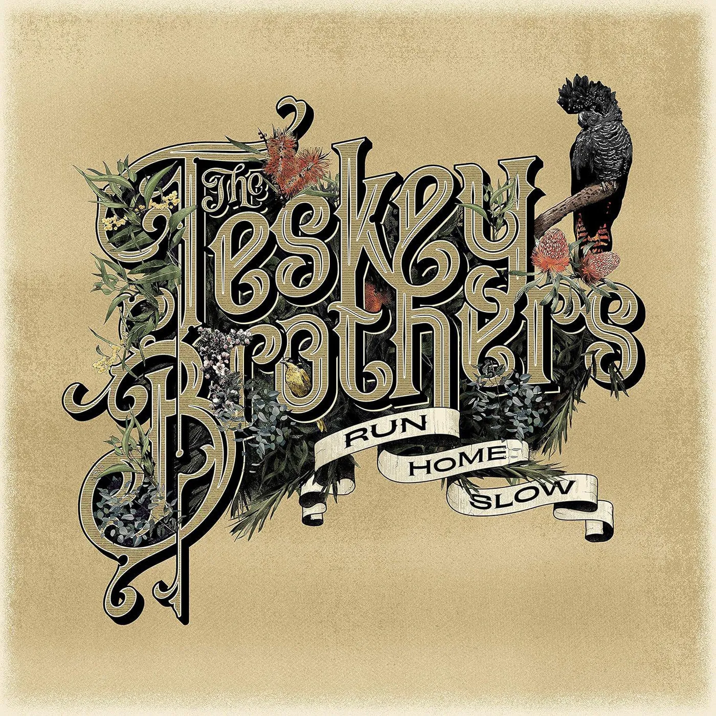 The Teskey Brothers Run Home Slow Vinyl Record