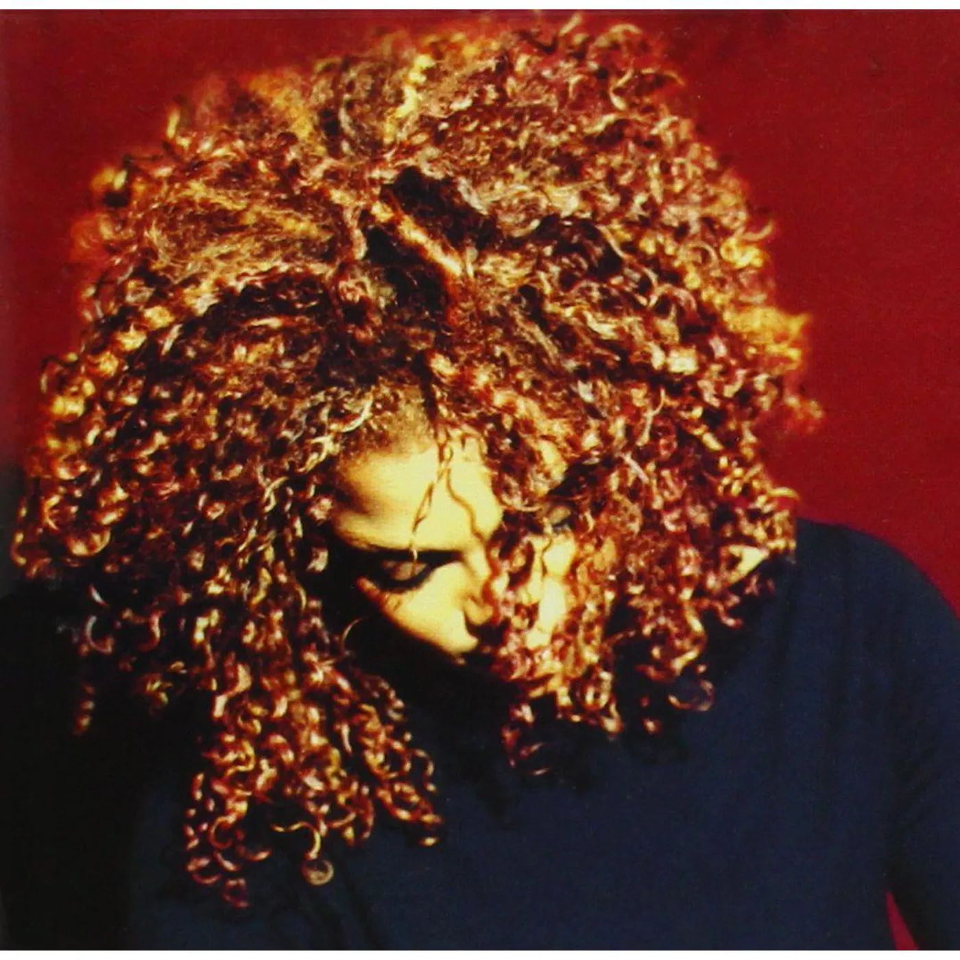 Janet Jackson Velvet Rope (2 LP) Vinyl Record