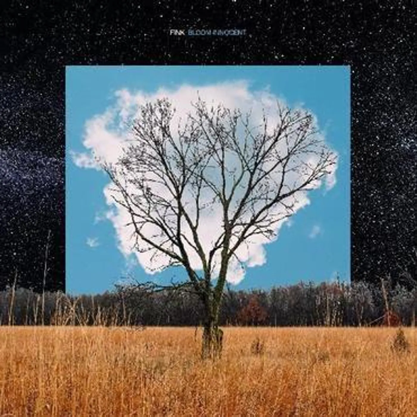 Fink BLOOM INNOCENT CD