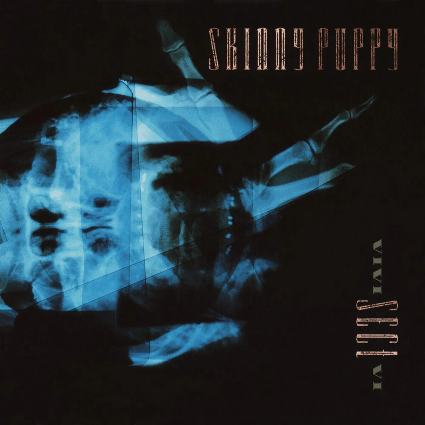Skinny Puppy Vivi Sect Vi (LP) Vinyl Record