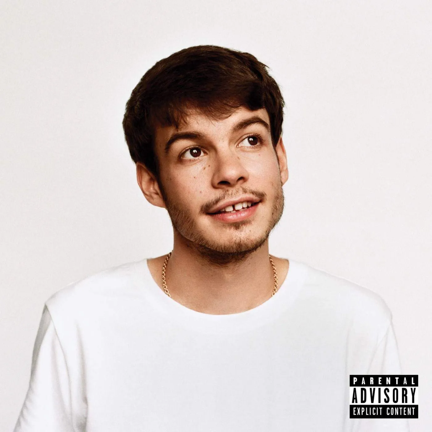 Rex Orange County Pony Vinyl Record