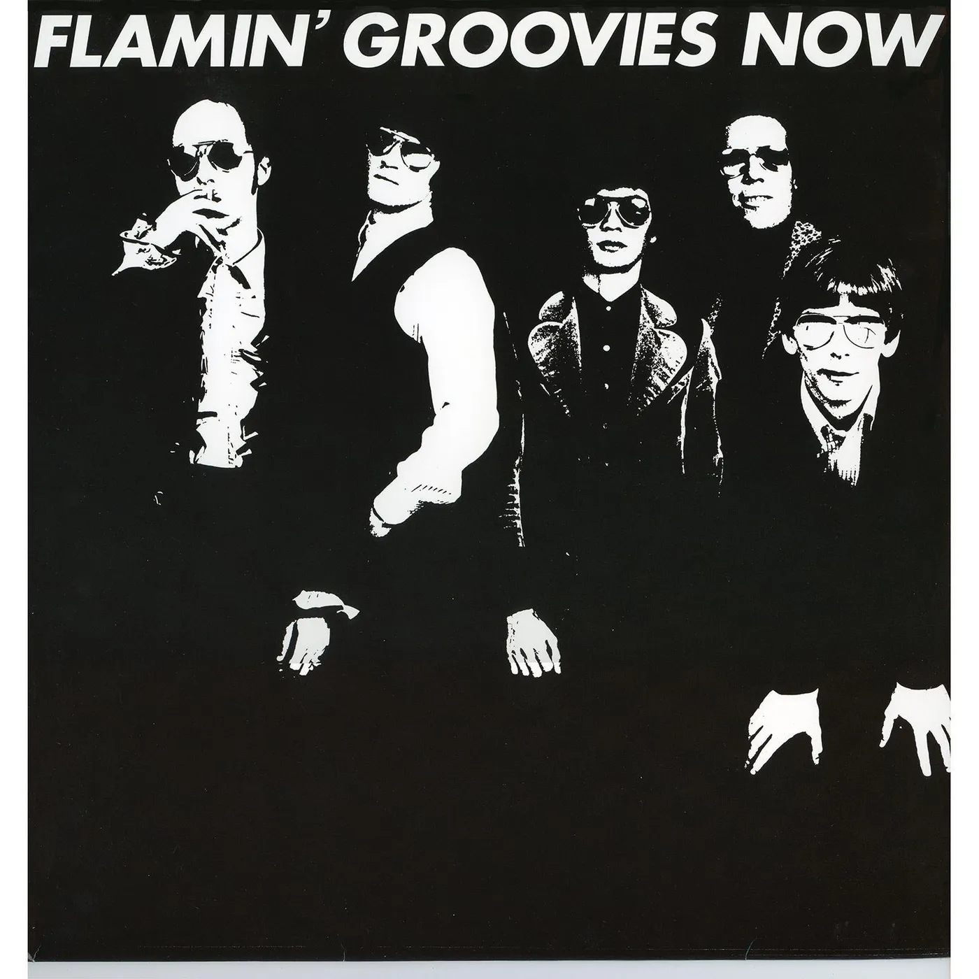 Flamin' Groovies NOW CD