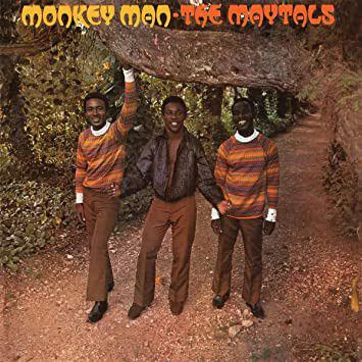 The Maytals MONKEY MAN Vinyl Record