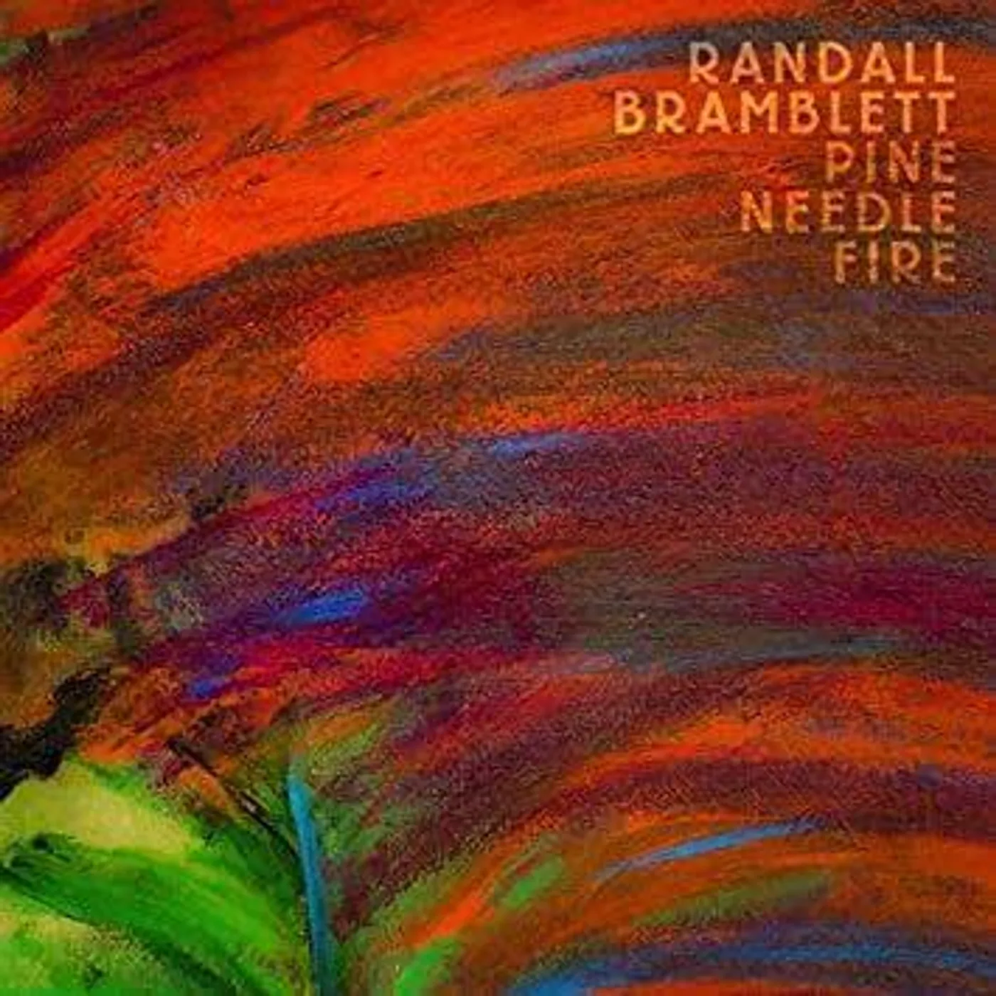 Randall Bramblett Pine Needle Fire Vinyl Record