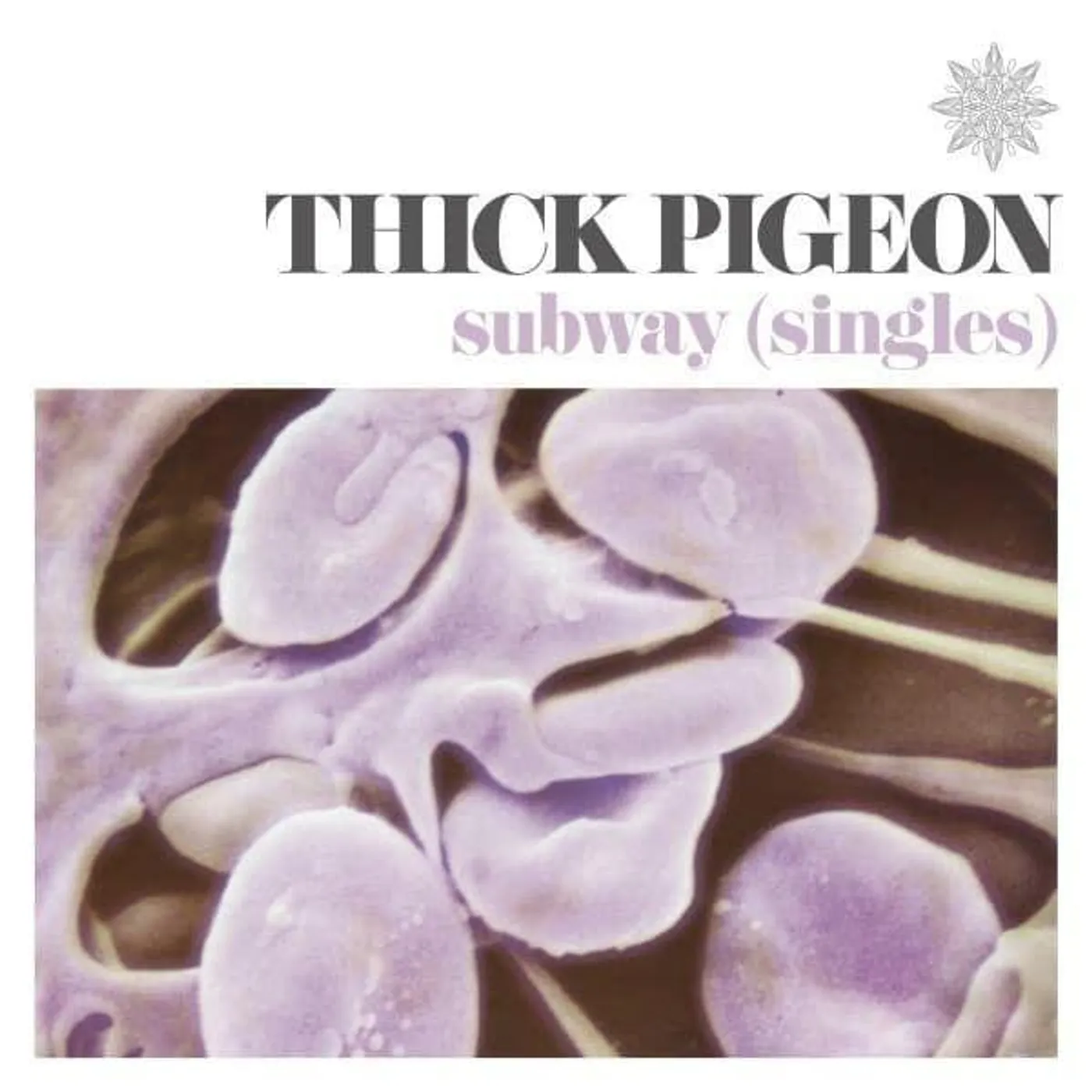 Thick Pigeon SUBWAY (SINGLES) (VIOLET VINYL) Vinyl Record