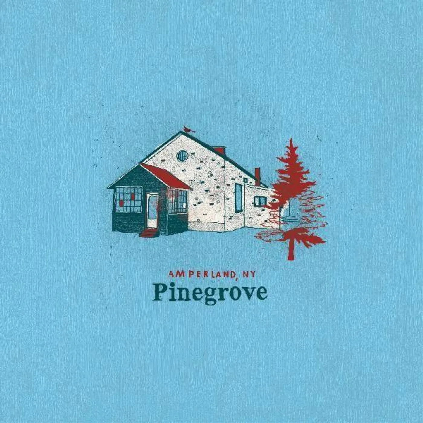 Pinegrove AMPERLAND NY Vinyl Record