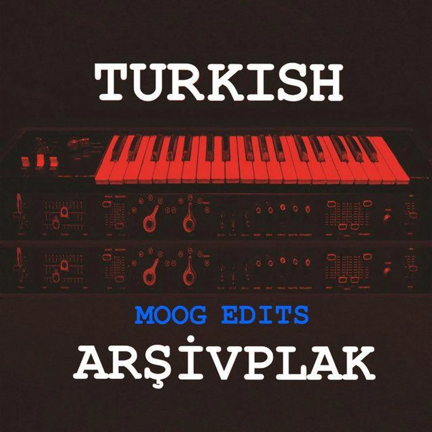 Arsivplak MOOG EDITS (TURKISH DISCO FOLK) Vinyl Record