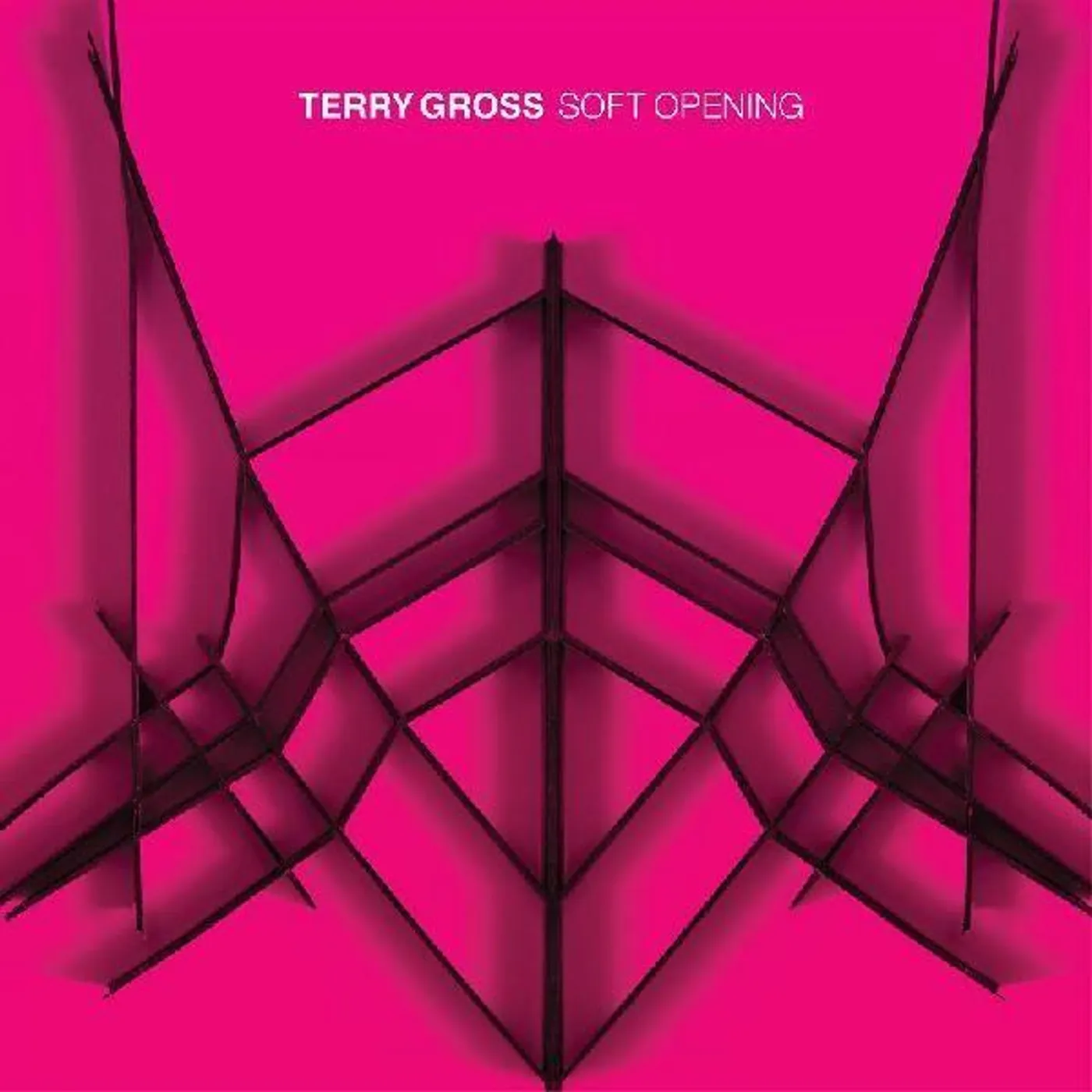Terry Gross SOFT OPENING Vinyl Record