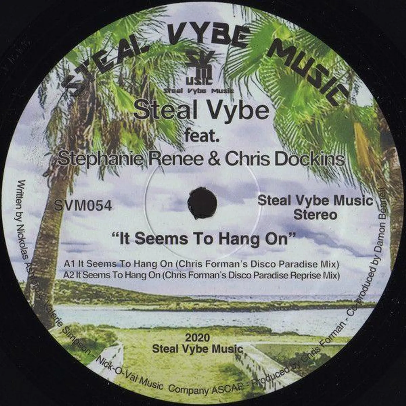 Steal Vybe It Seems To Hang On Vinyl Record