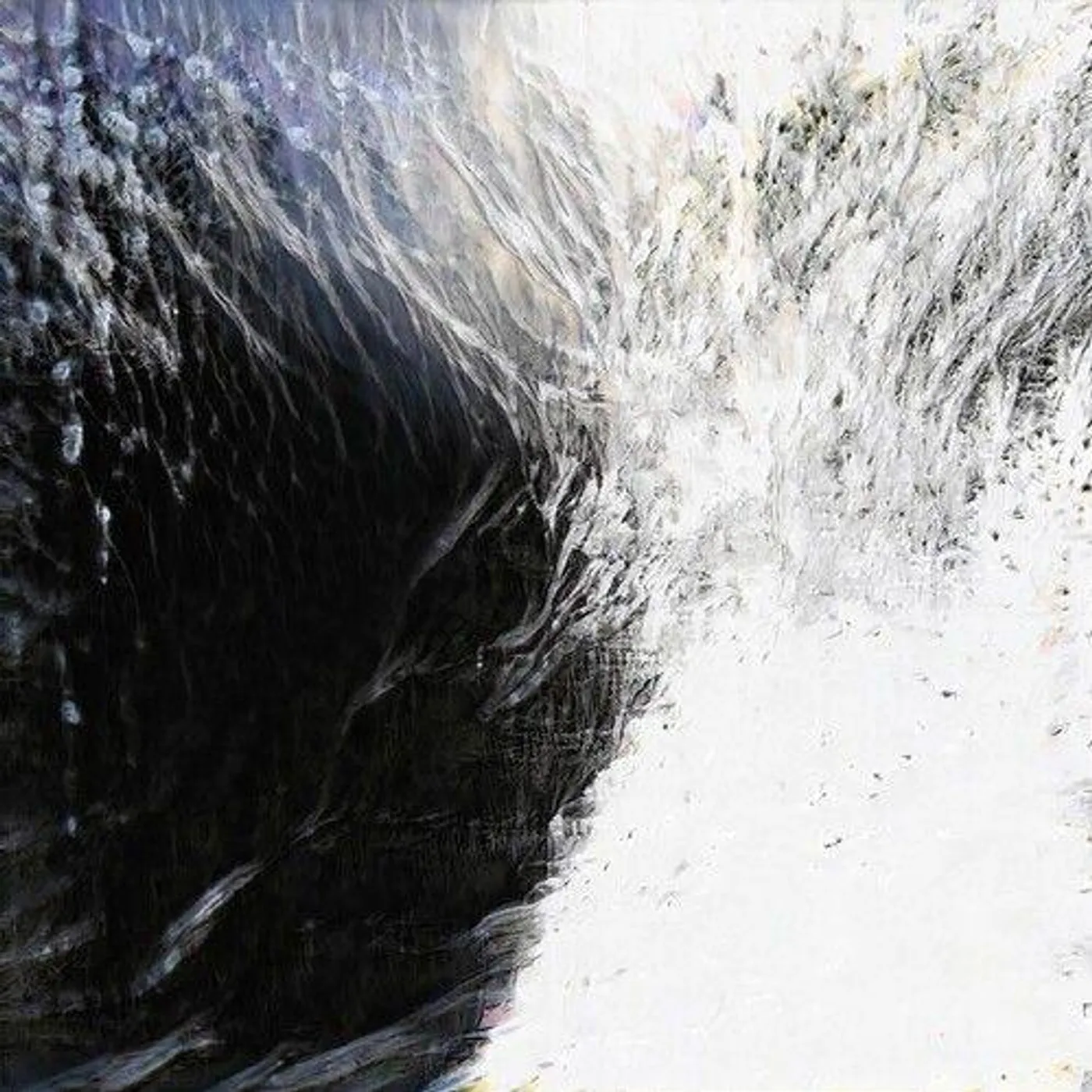 Rachel Palmer Antecedent Vinyl Record