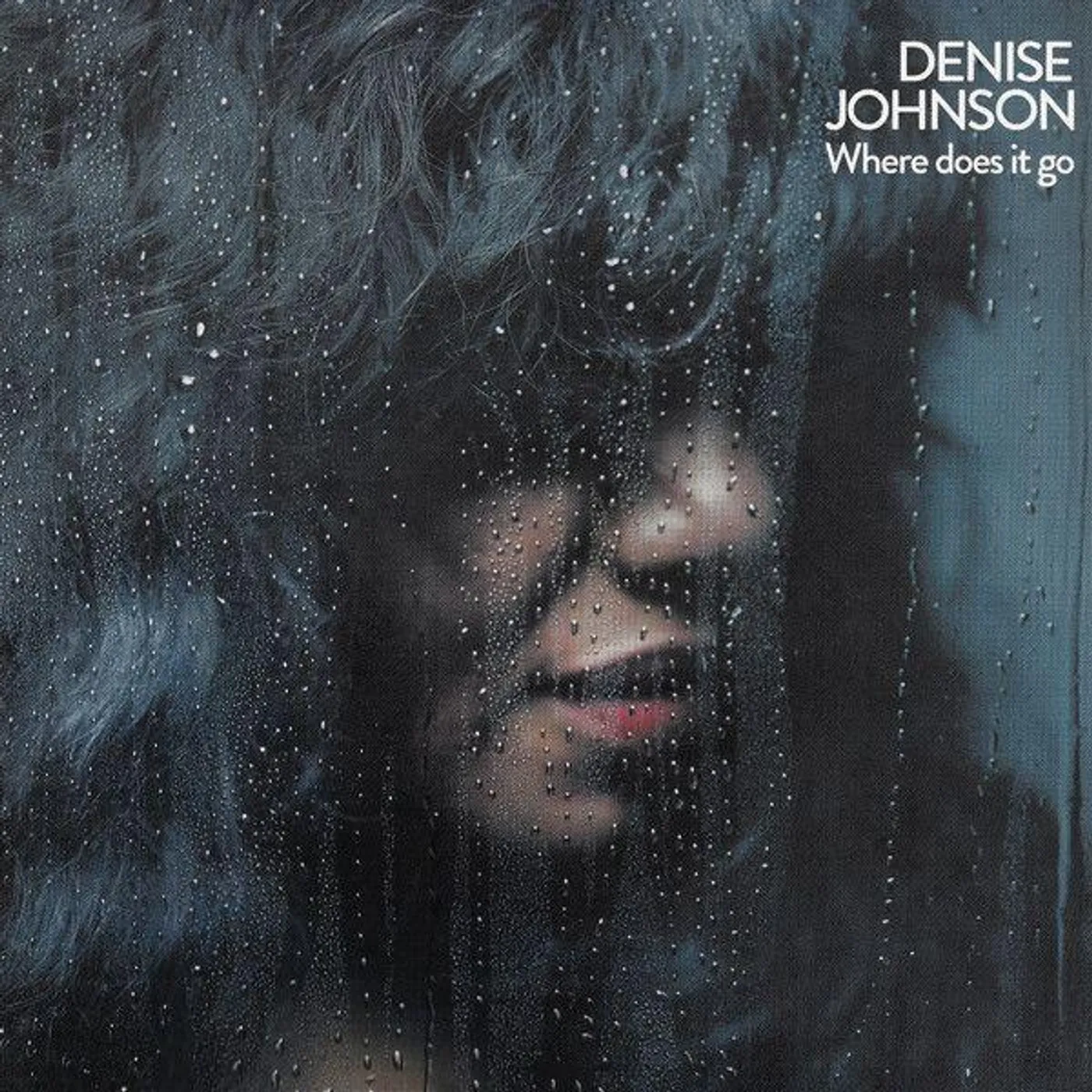 Denise Johnson Where Does It Go Vinyl Record