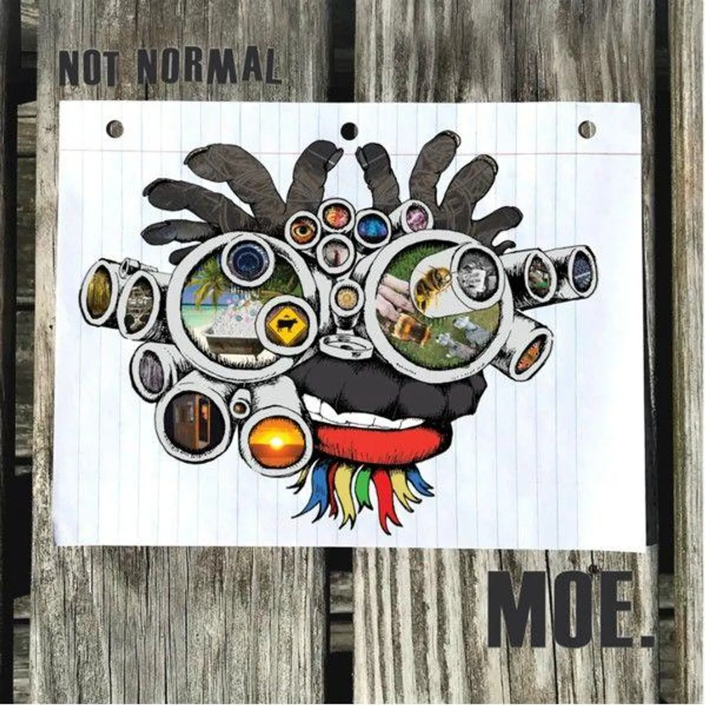 moe. Not Normal Vinyl Record
