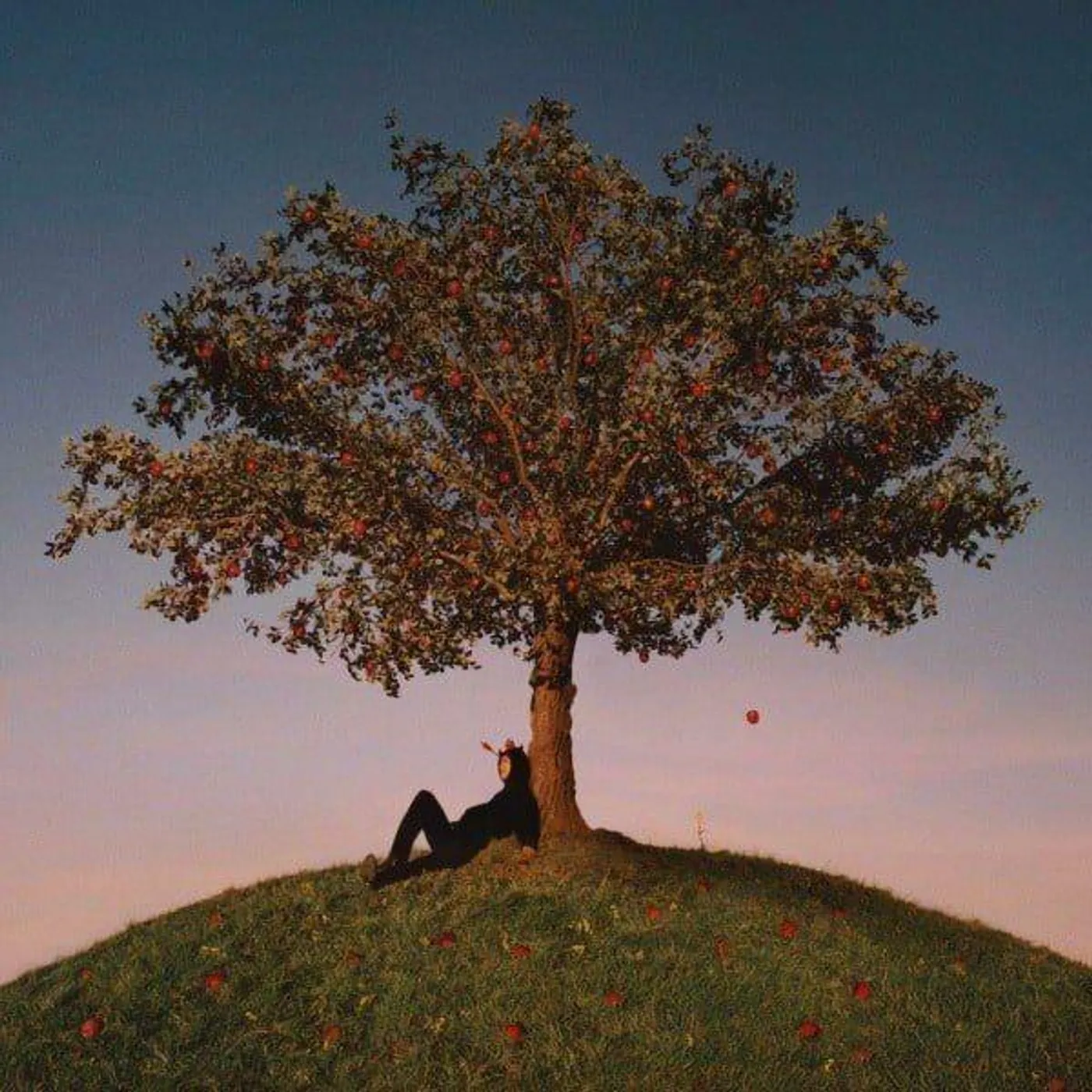 slowthai TYRON Vinyl Record