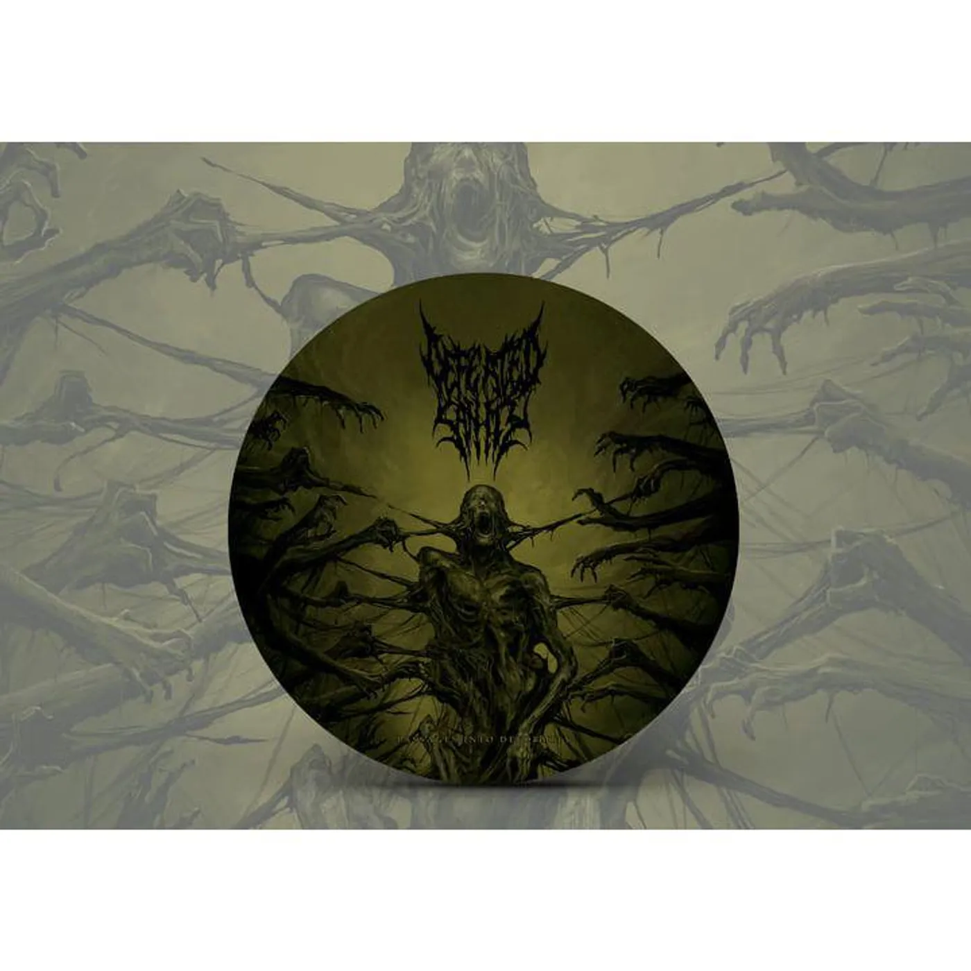 Defeated Sanity Passages Into Deformity (Picture Disc) Vinyl Record