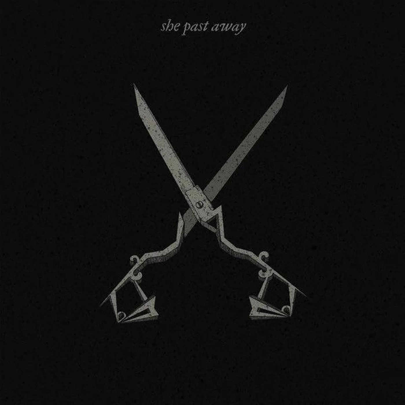 She Past Away X. Vinyl Record