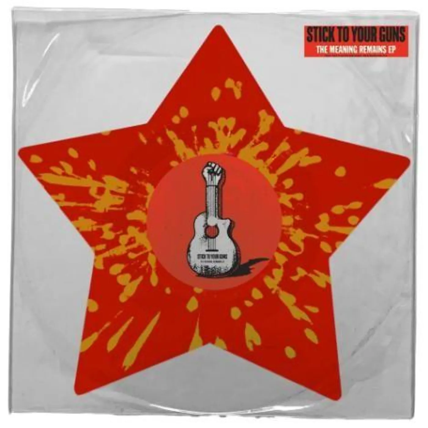Stick To Your Guns MEANING REMAINS Vinyl Record