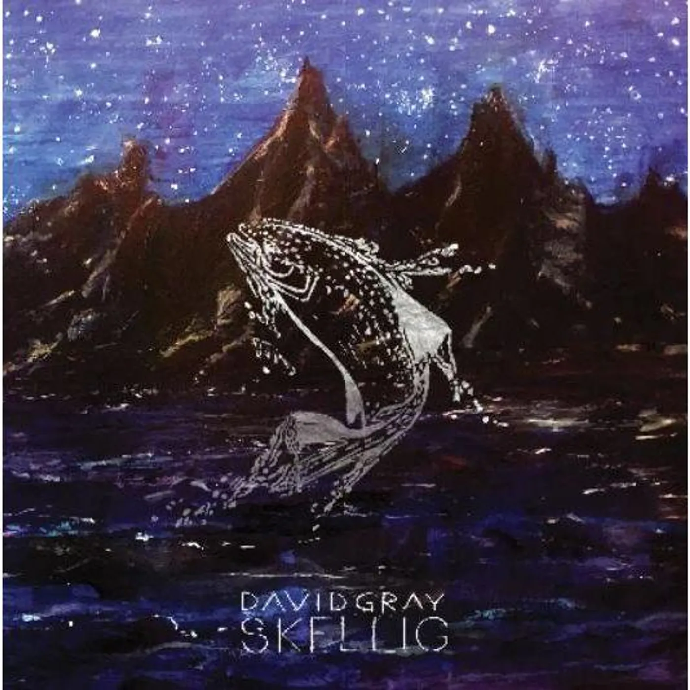 David Gray SKELLIG CD