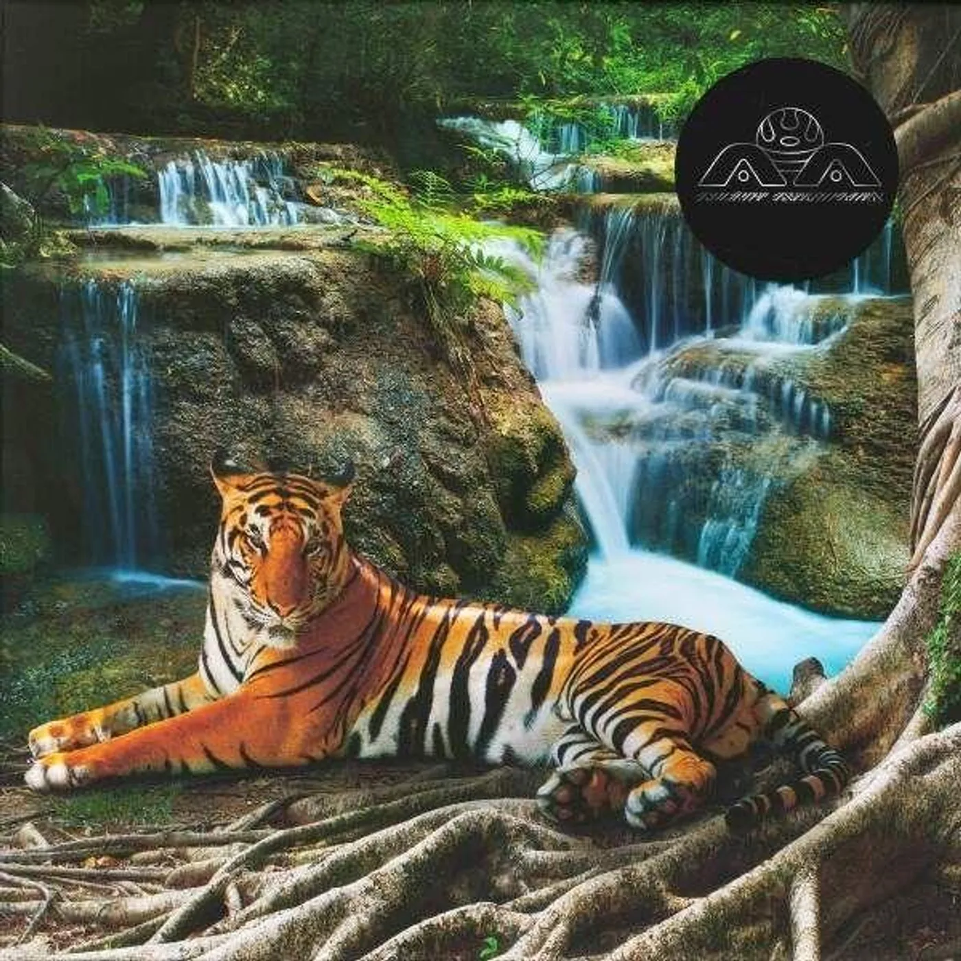 Lone Abraxas Vinyl Record