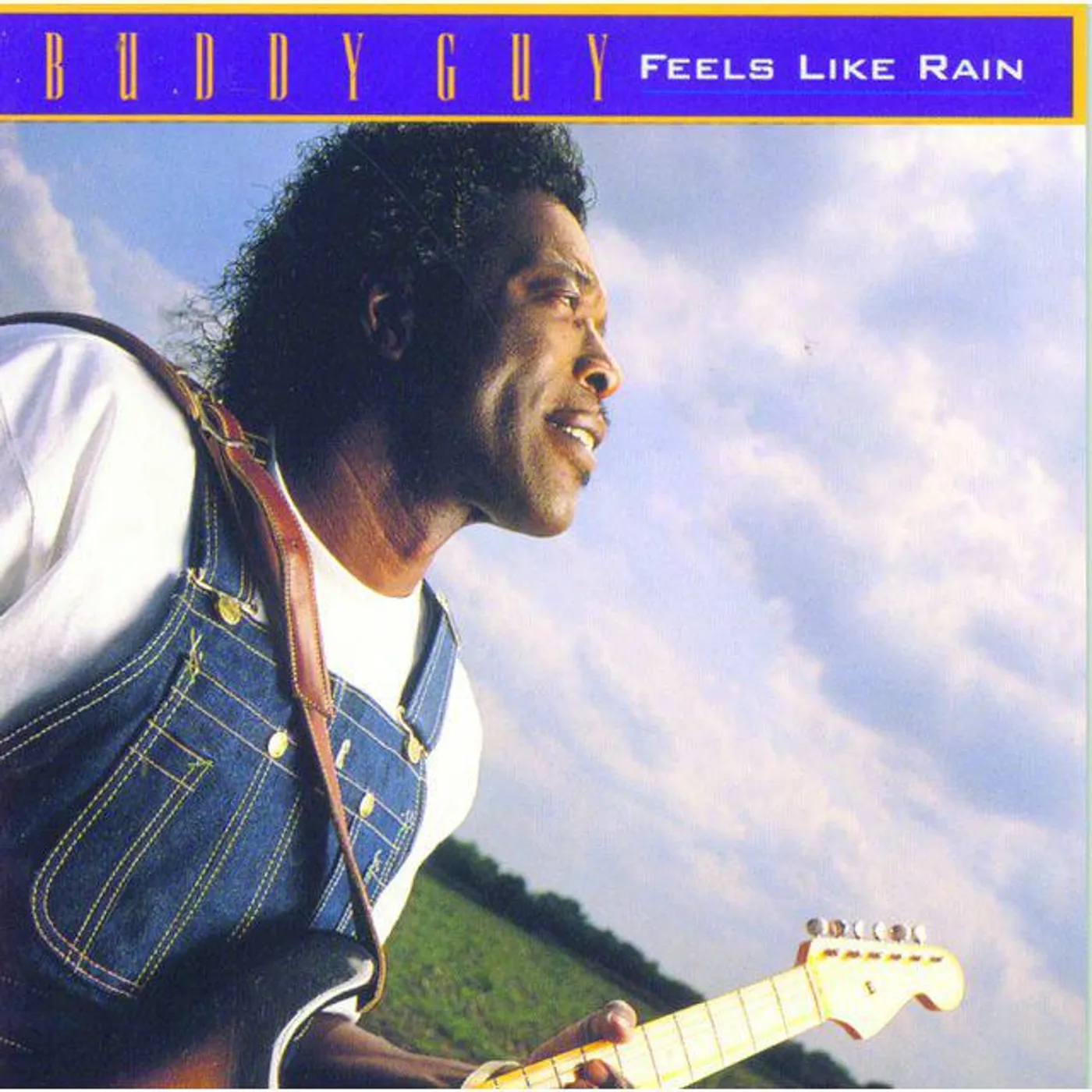 Buddy Guy Feels Like Rain Vinyl Record
