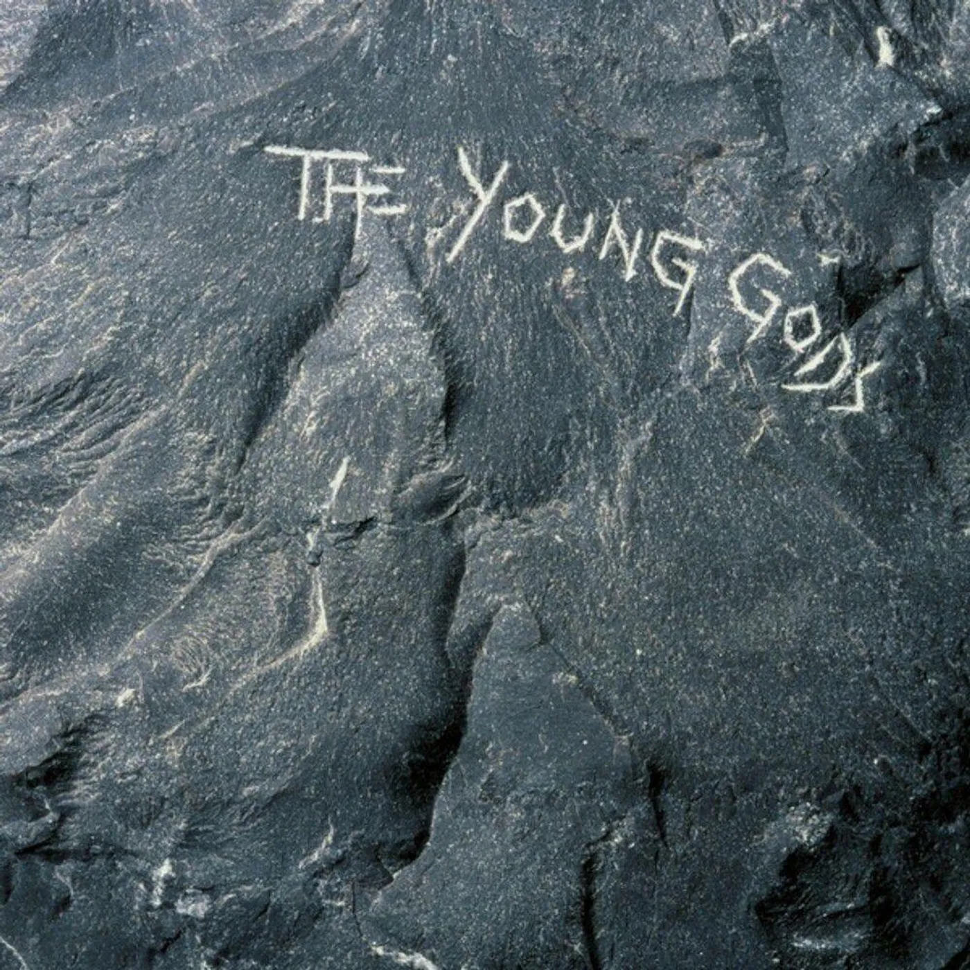 The Young Gods Vinyl Record