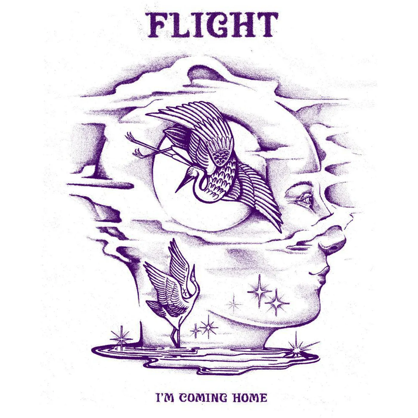 Flight I’M COMING HOME Vinyl Record