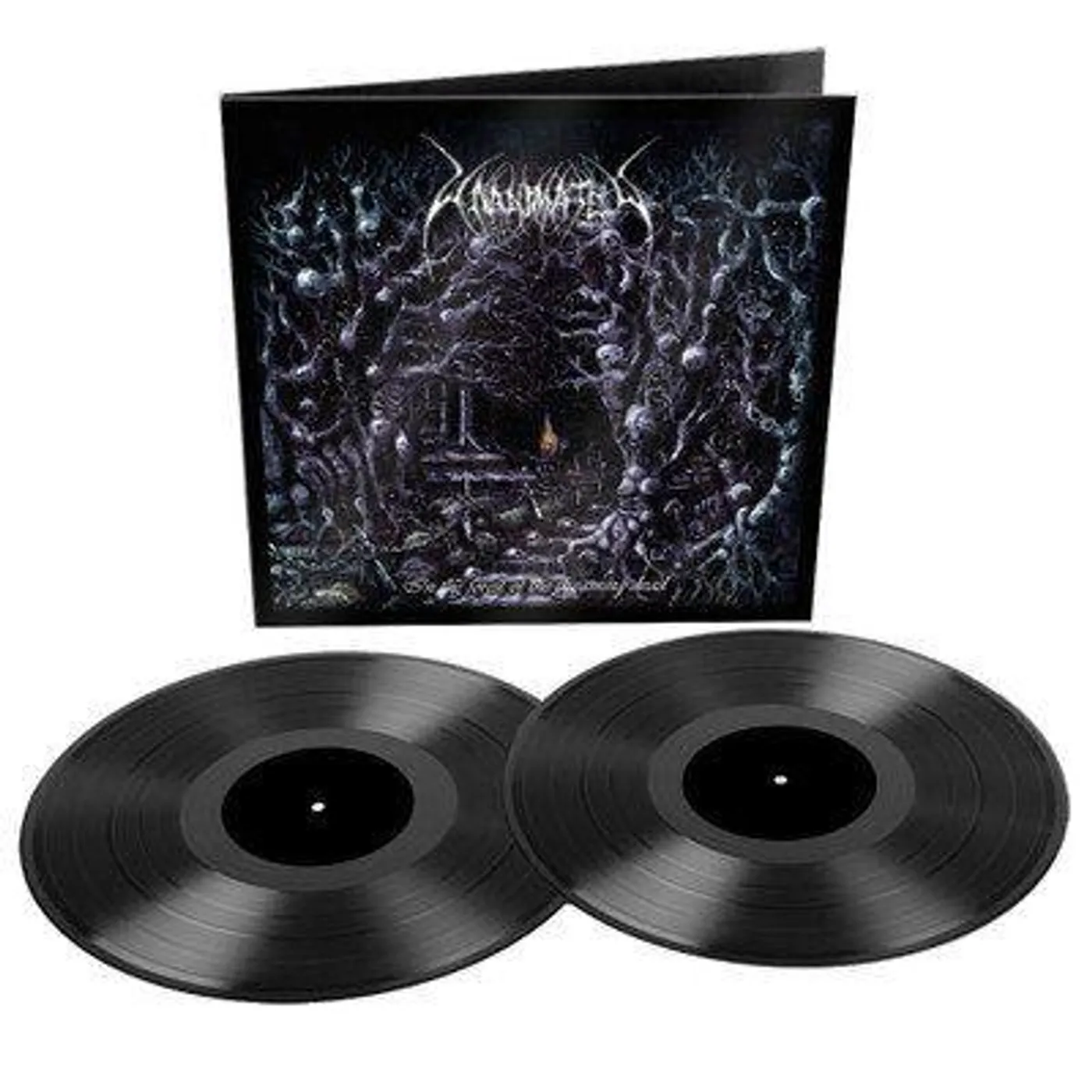 Unanimated IN THE FOREST OF THE DREAMING DEAD Vinyl Record