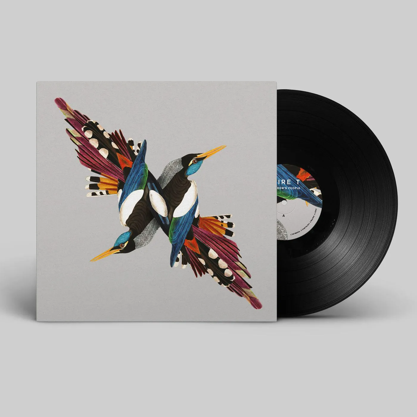 Shire T Tomorrow's People Vinyl Record