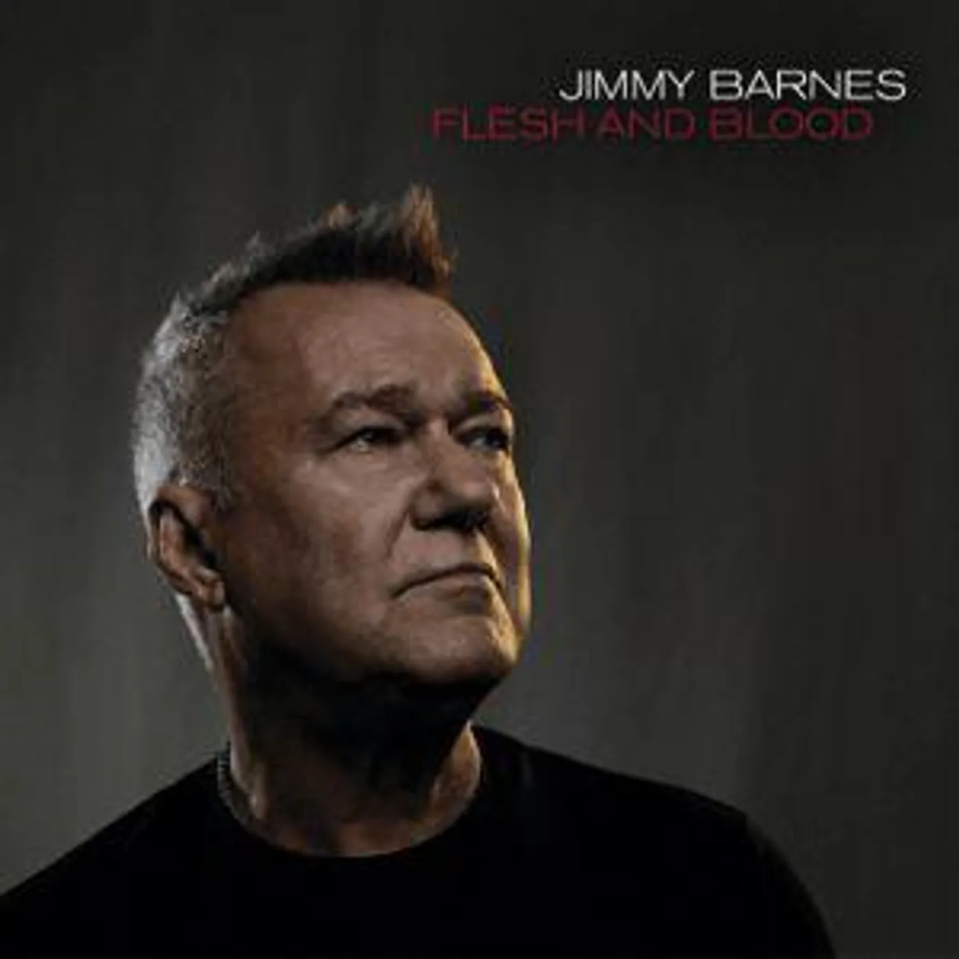 Jimmy Barnes FLESH & BLOOD CD