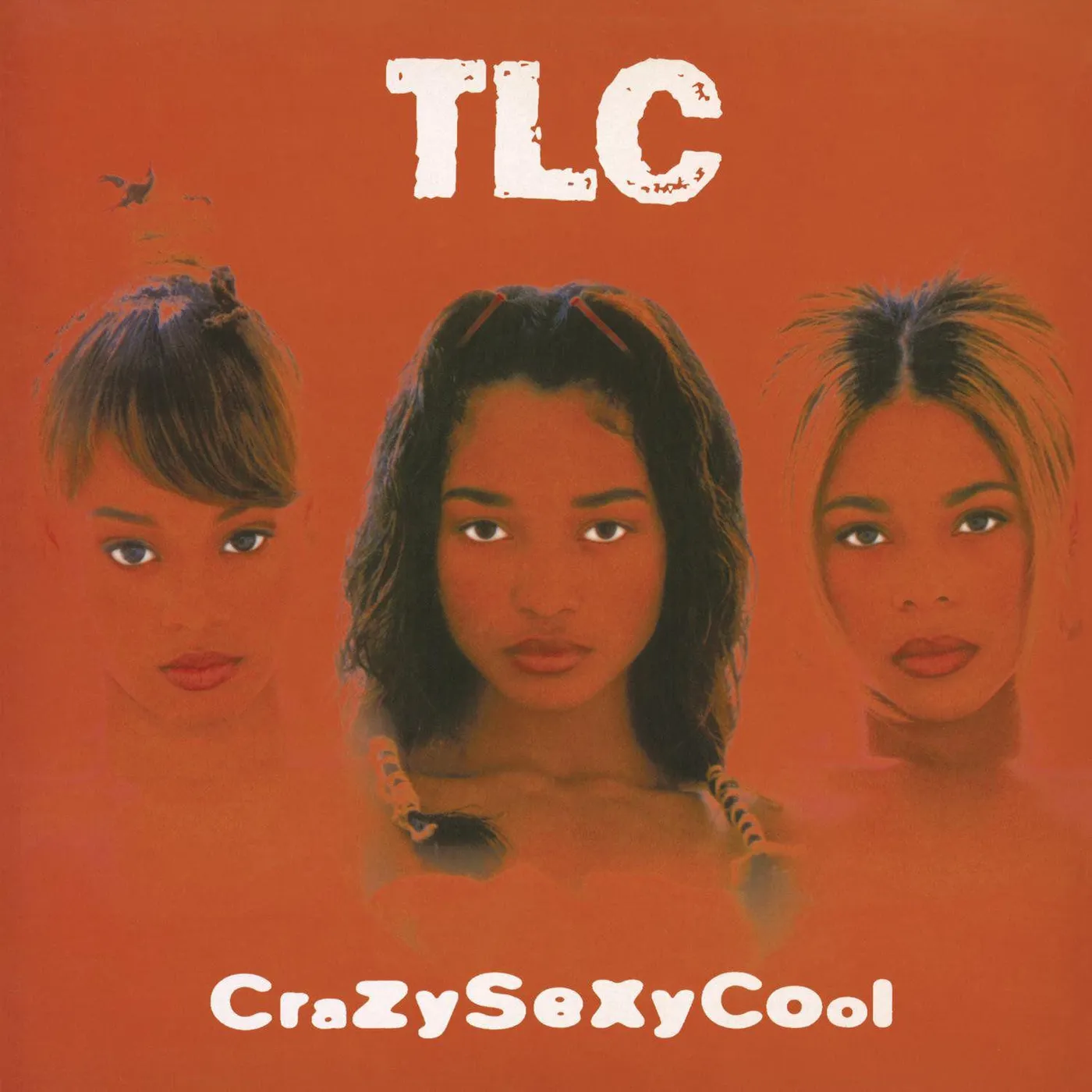 TLC CrazySexyCool (2LP) Vinyl Record