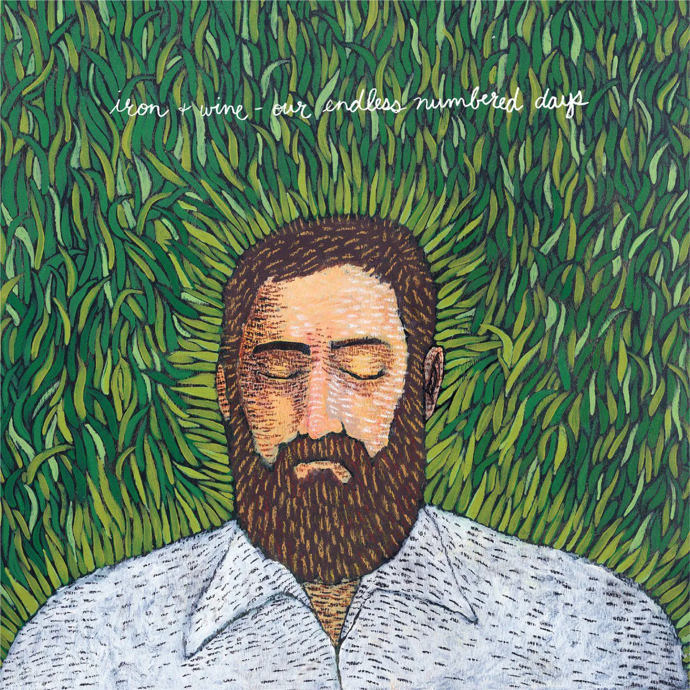 Iron & Wine Our Endless Numbered Days Vinyl Record