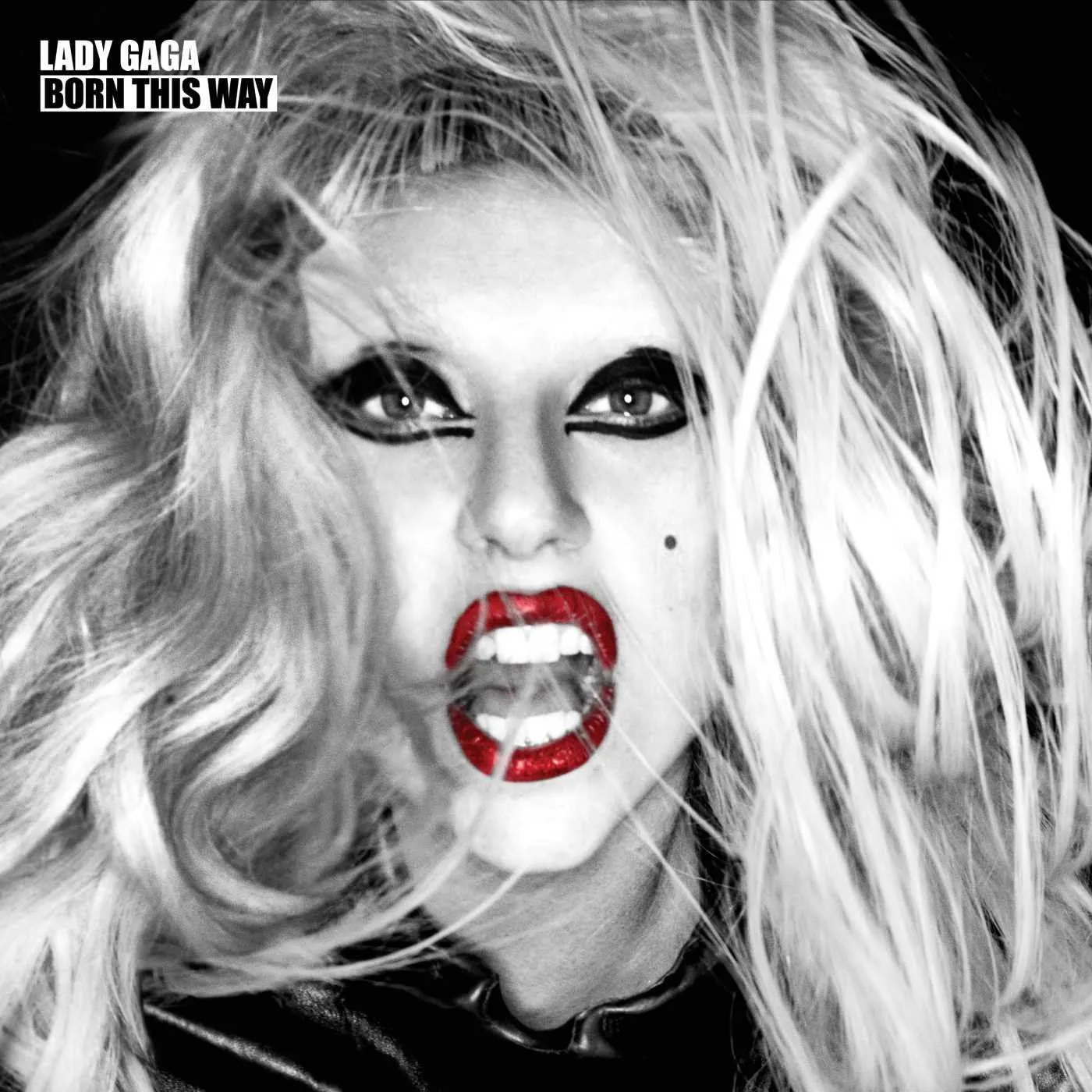 Lady Gaga Born This Way (2LP) Vinyl Record