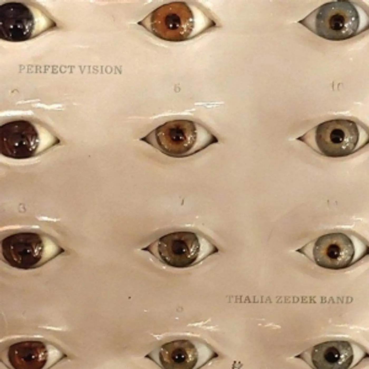 Thalia Zedek PERFECT VISION CD