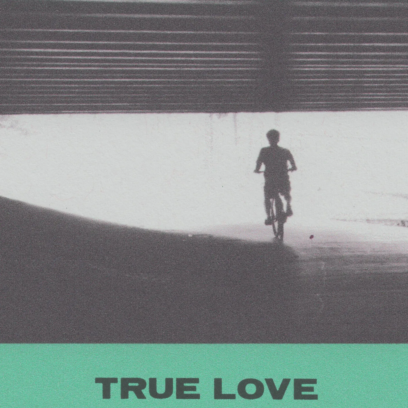 Hovvdy True Love Vinyl Record