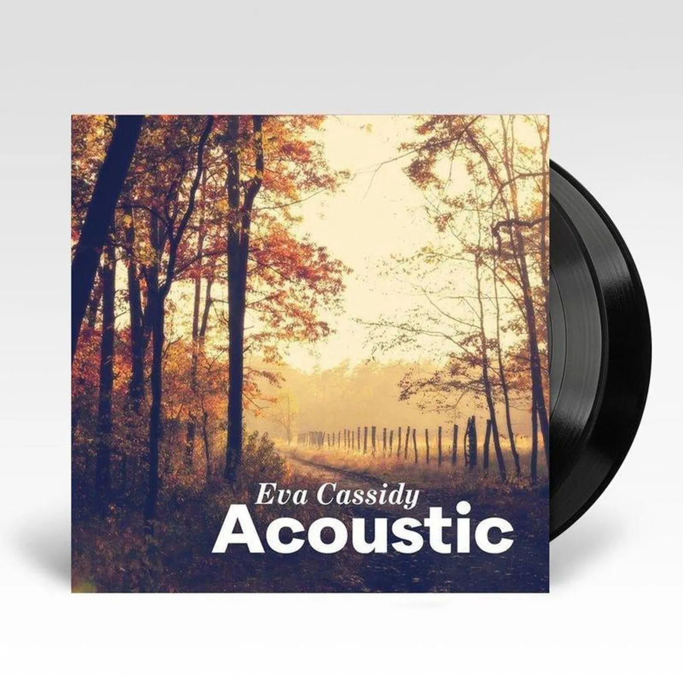 Eva Cassidy Acoustic Vinyl Record