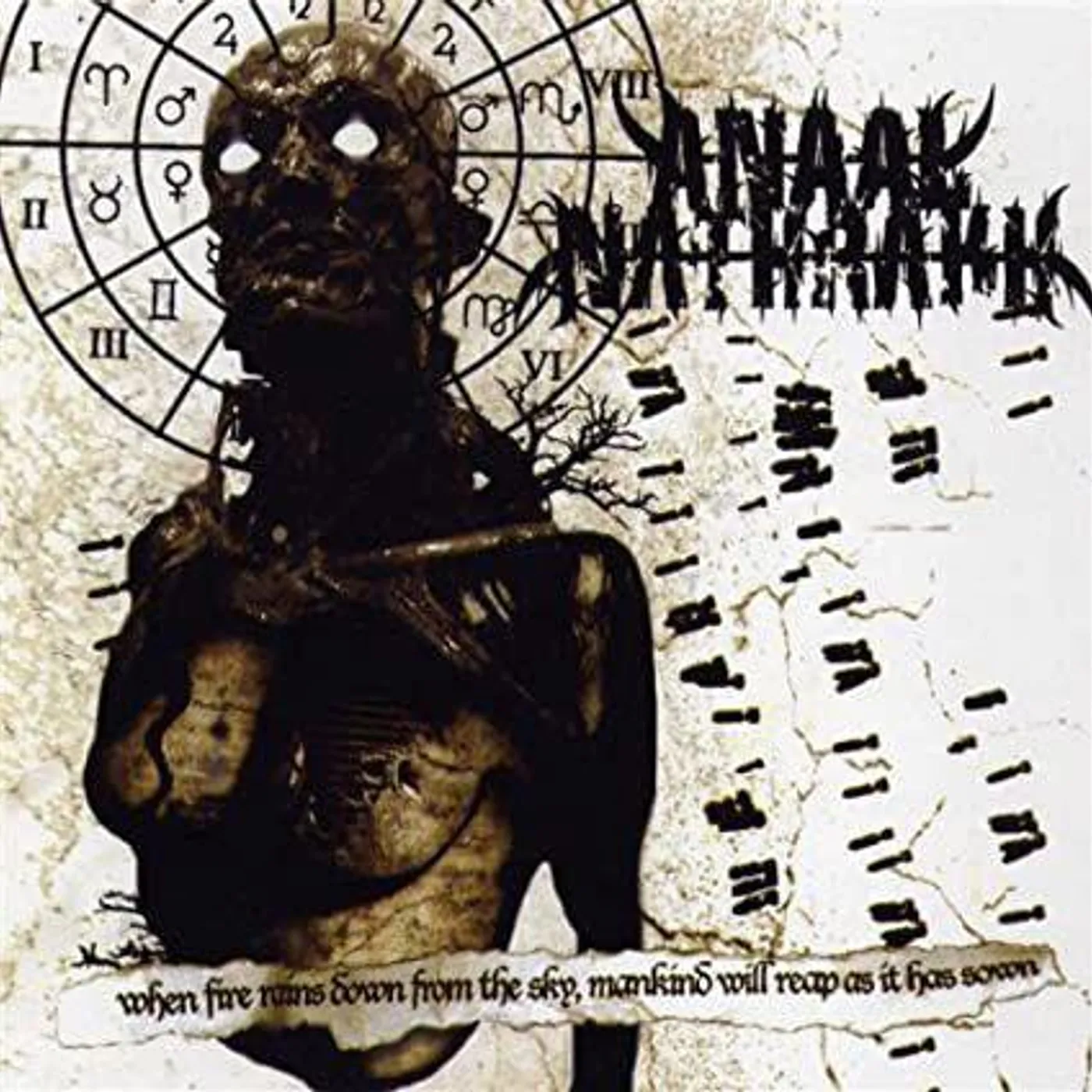 Anaal Nathrakh WHEN FIRE RAINS DOWN FROM THE SKY MANKIND WILL CD