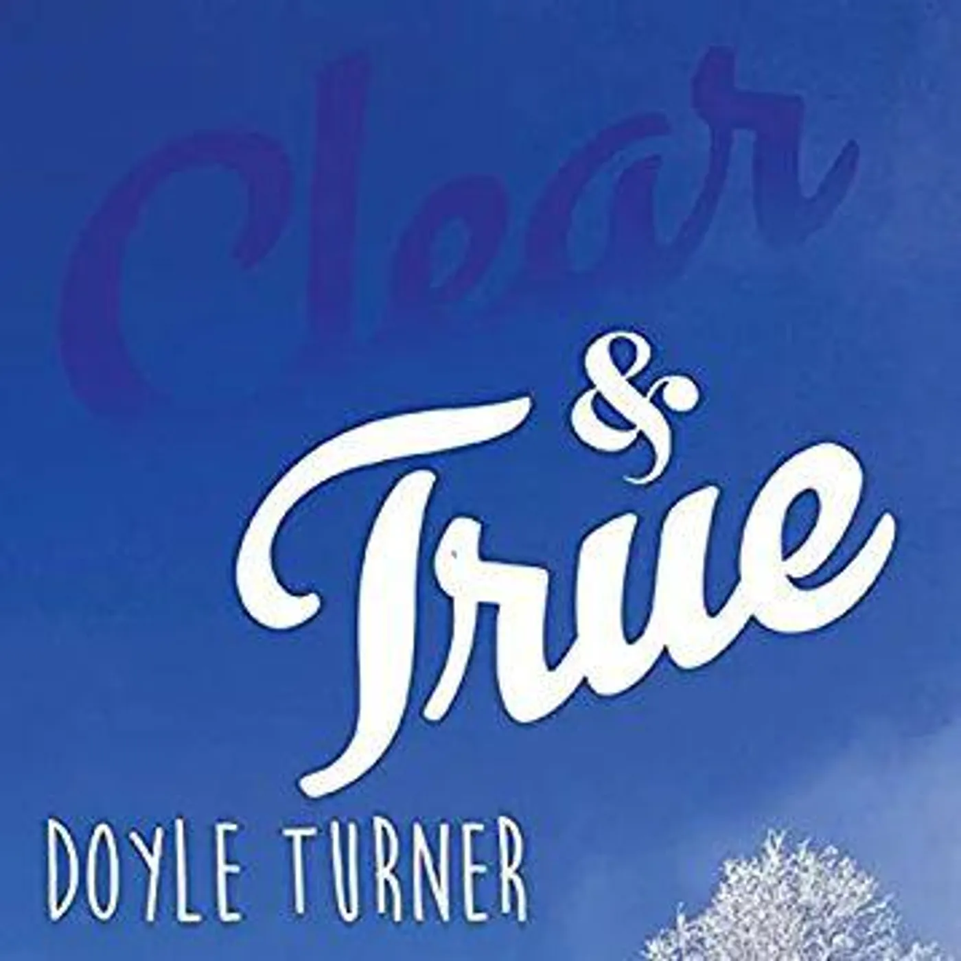 Doyle Turner CLEAR & TRUE CD